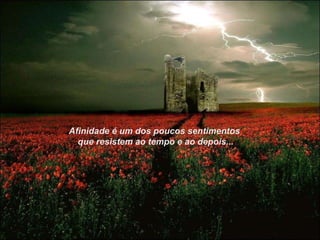 Afinidade é um dos poucos sentimentos que resistem ao tempo e ao depois... 