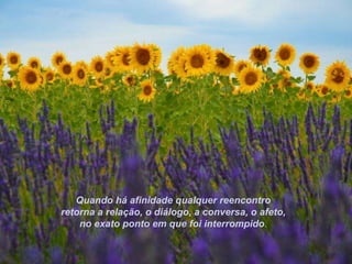 Quando há afinidade qualquer reencontro retorna a relação, o diálogo, a conversa, o afeto,  no exato ponto em que foi interrompido . 