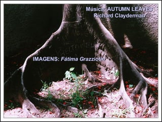 Afinidade -  Artur da Távola