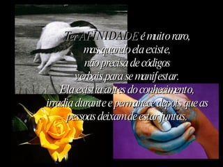 Ter AFINIDADE  é muito raro, mas quando ela existe, não precisa de códigos verbais para se manifestar. Ela existia antes do conhecimento, irradia durante e permanece depois que as pessoas deixam de estar juntas. 