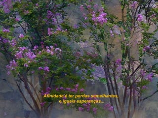 Afinidade é ter perdas semelhantes,
       e iguais esperanças...
 