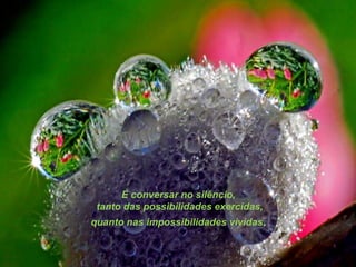 É conversar no silêncio,
 tanto das possibilidades exercidas,
quanto nas impossibilidades vividas.
 