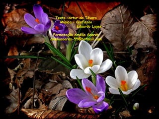Texto –Artur da Távora
    Música – Confissão
             Eduardo Lages

 Formatação Amélia Soares
ameliasoares-55@hotmail.com
 