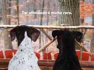 Ter afinidade é muito raro.
 