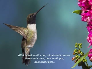 Afinidade é sentir com, não é sentir contra,
      nem sentir para, nem sentir por,
             nem sentir pelo..
 