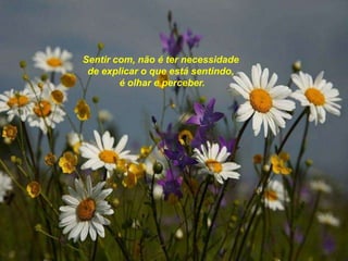 Sentir com, não é ter necessidade
 de explicar o que está sentindo,
        é olhar e perceber.
 