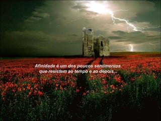 Afinidade é um dos poucos sentimentos
  que resistem ao tempo e ao depois...
 