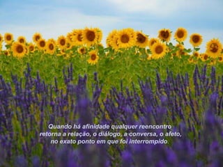 Quando há afinidade qualquer reencontro
retorna a relação, o diálogo, a conversa, o afeto,
    no exato ponto em que foi interrompido.
 