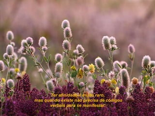 Ter afinidade é muito raro,
mas quando existe não precisa de códigos
      verbais para se manifestar.
 