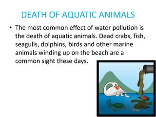 DEATH OF AQUATIC ANIMALS
• The most common effect of water pollution is
the death of aquatic animals. Dead crabs, fish,
seagulls, dolphins, birds and other marine
animals winding up on the beach are a
common sight these days.
 