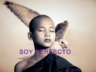 SOY PERFECTO
 