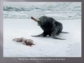 Nu le face altora ce nu ti-ar place sa ti se faca
 