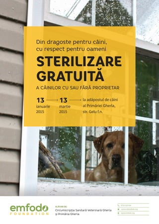 Poster of the spaying/neutering campaign in Gherla, Cluj County
