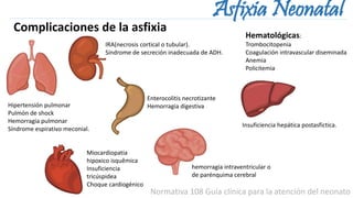 Normativa 108 Guía clínica para la atención del neonato
Asfixia Neonatal
Complicaciones de la asfixia
Hipertensión pulmonar
Pulmón de shock
Hemorragia pulmonar
Síndrome espirativo meconial.
Miocardiopatia
hipoxico isquêmica
Insuficiencia
tricúspidea
Choque cardiogénico
IRA(necrosis cortical o tubular).
Síndrome de secreción inadecuada de ADH.
Enterocolitis necrotizante
Hemorragia digestiva
hemorragia intraventricular o
de parénquima cerebral
Insuficiencia hepática postasfictica.
Hematológicas:
Trombocitopenia
Coagulación intravascular diseminada
Anemia
Policitemia
 