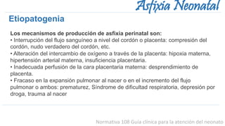 Normativa 108 Guía clínica para la atención del neonato
Asfixia Neonatal
Los mecanismos de producción de asfixia perinatal son:
• Interrupción del flujo sanguíneo a nivel del cordón o placenta: compresión del
cordón, nudo verdadero del cordón, etc.
• Alteración del intercambio de oxígeno a través de la placenta: hipoxia materna,
hipertensión arterial materna, insuficiencia placentaria.
• Inadecuada perfusión de la cara placentaria materna: desprendimiento de
placenta.
• Fracaso en la expansión pulmonar al nacer o en el incremento del flujo
pulmonar o ambos: prematurez, Síndrome de dificultad respiratoria, depresión por
droga, trauma al nacer
Etiopatogenia
 