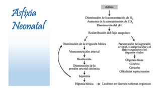 Asfixia
Neonatal
 