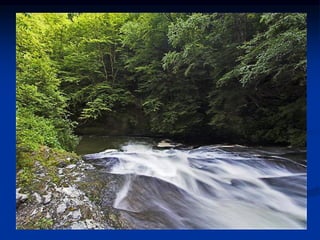 ĐIỀU TRỊ SUY TIM MẠN