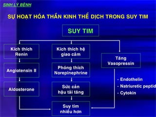 SUY TIM
SÖÏ HOAÏT HOÙA THAÀN KINH THEÅ DÒCH TRONG SUY TIM
SINH LYÙ BEÄNH
Kích thích
Renin
Kích thích heä
giao caûm
Taêng
Vasopressin
Phoùng thích
Norepinephrine
Angiotensin II
Söùc caûn
haäu taûi taêng
Aldosterone
Suy tim
nhieàu hôn
- Endothelin
- Natriuretic peptid
- Cytokin
 