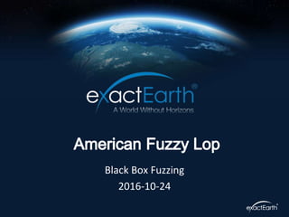 Black Box Fuzzing
2016-10-24
 