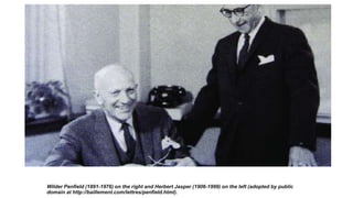 Wilder Penfield (1891-1976) on the right and Herbert Jasper (1906-1999) on the left (adopted by public
domain at http://baillement.com/lettres/penfield.html).
 