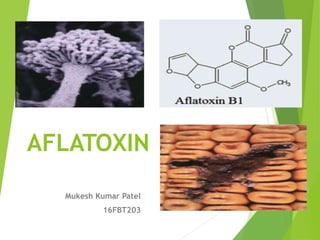 Aflatoxin | PPTX