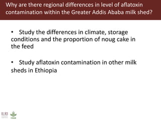 Aflatoxin analysis of dairy feeds in the Greater Addis Ababa milk shed, Ethiopia