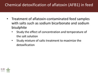 Aflatoxin analysis of dairy feeds in the Greater Addis Ababa milk shed, Ethiopia