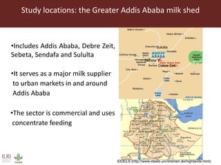 Aflatoxin analysis of dairy feeds in the Greater Addis Ababa milk shed, Ethiopia