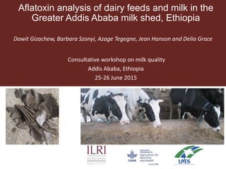 Aflatoxin analysis of dairy feeds and milk in the Greater Addis Ababa ...