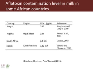Aflatoxin analysis of dairy feeds and milk in the Greater Addis Ababa milk shed, Ethiopia