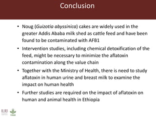 Aflatoxin analysis of dairy feeds and milk in the Greater Addis Ababa milk shed, Ethiopia