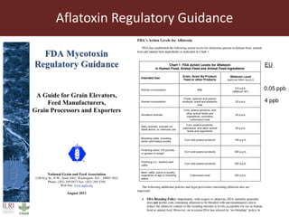 Aflatoxin analysis of dairy feeds and milk in the Greater Addis Ababa milk shed, Ethiopia