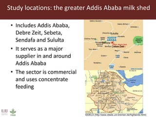 Aflatoxin analysis of dairy feeds and milk in the Greater Addis Ababa milk shed, Ethiopia