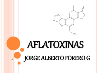 AFLATOXINAS
JORGE ALBERTO FORERO G
 