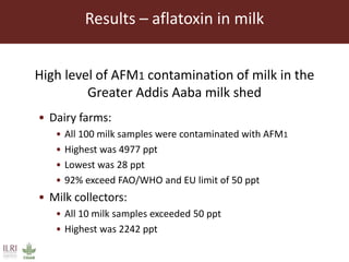 Aflatoxin M1 contamination of milk in the greater Addis Ababa milk shed, Ethiopia