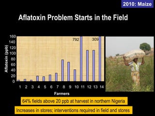 Aflatoxin impacts and management | PDF
