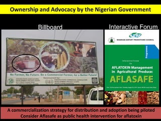 Aflatoxin impacts and management | PDF