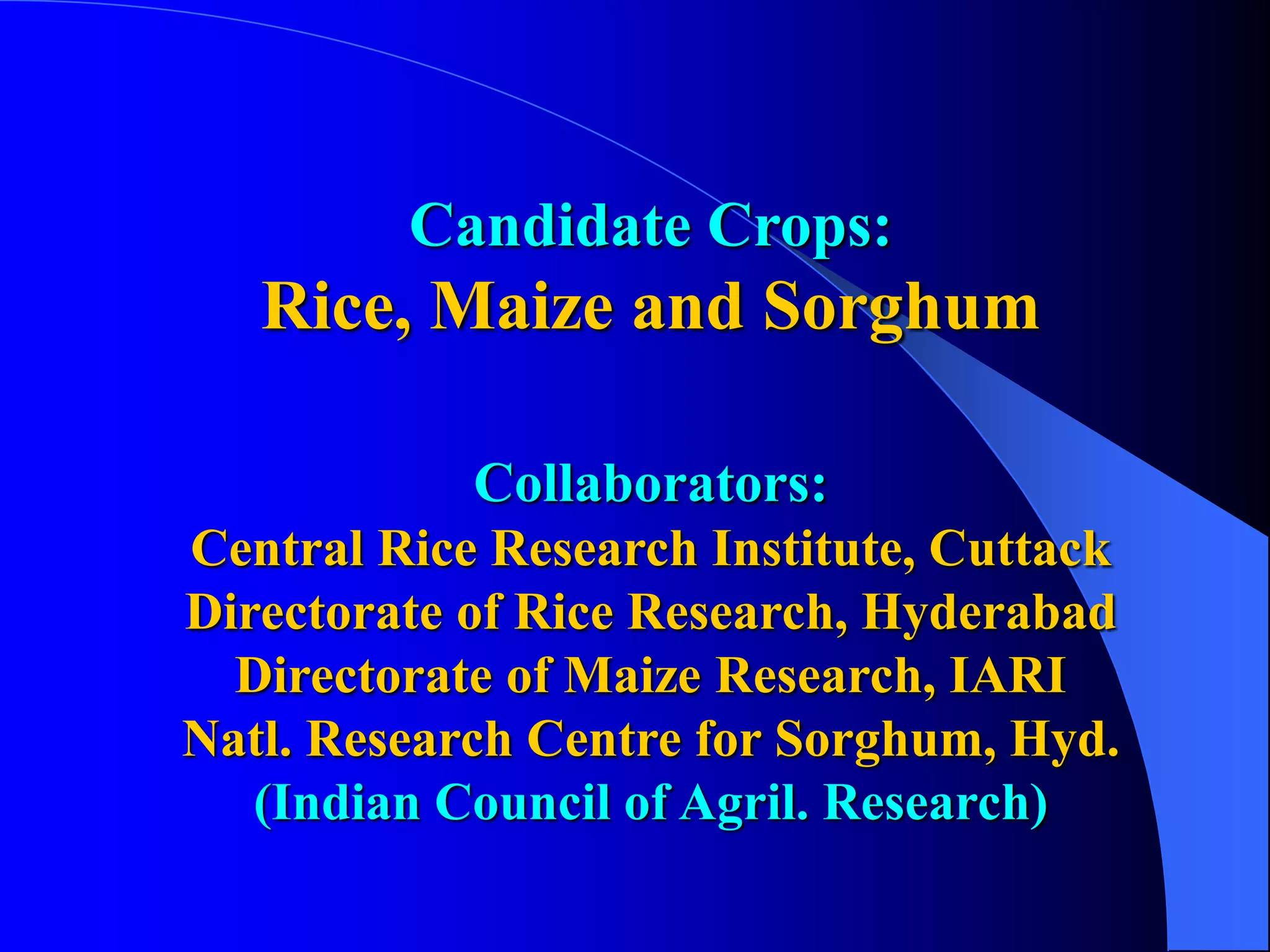 Aflatoxin Contamination in Cereals: Rice, Maize and Sorghum | PPT