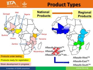 Integrated management of Aflatoxins in groundnuts
