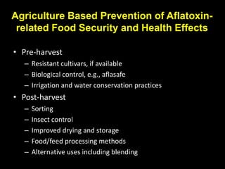 Integrated management of Aflatoxins in groundnuts