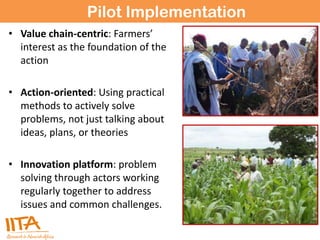 Integrated management of Aflatoxins in groundnuts