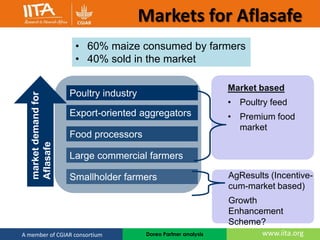 Integrated management of Aflatoxins in groundnuts
