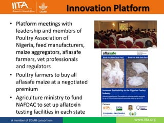 Integrated management of Aflatoxins in groundnuts