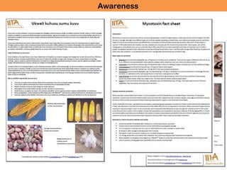 What are aflatoxins?