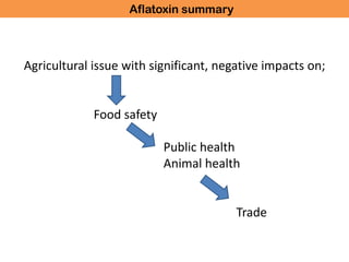 What are aflatoxins?