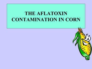 Aflatoxin lecture | PPT