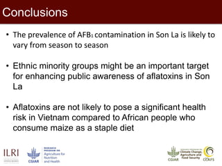 16
• The prevalence of AFB1 contamination in Son La is likely to
vary from season to season
• Ethnic minority groups might be an important target
for enhancing public awareness of aflatoxins in Son
La
• Aflatoxins are not likely to pose a significant health
risk in Vietnam compared to African people who
consume maize as a staple diet
Conclusions
 
