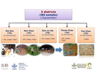 7
5 districts
(385 samples)
(1kg/sample)
Moc Chau
(75)
(5 communes)
- HH, trader, Field
Son La city
(76)
(5 communes)
- HH, trader, Field
Thuan Chau
(76)
(5 communes)
- HH, trader,
Field
Yen Chau
(75)
(5 communes)
- Fields
Mai Son
(75)
(5 communes)
- HH, trader, Field
 