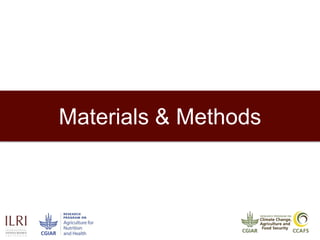 Assessment of aflatoxin B1 contamination in maize and awareness of aflatoxins in Son La province, Vietnam