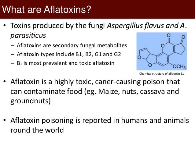 Assessment Of Aflatoxin B1 Contamination In Maize And Awareness Of Af